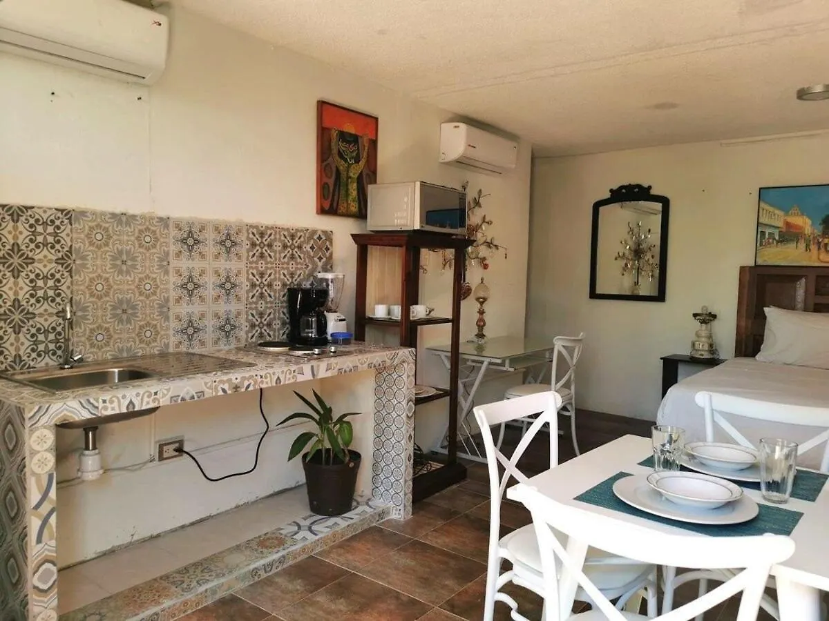 Loft Jade Paseo Montejo Apartment Merida 0*,